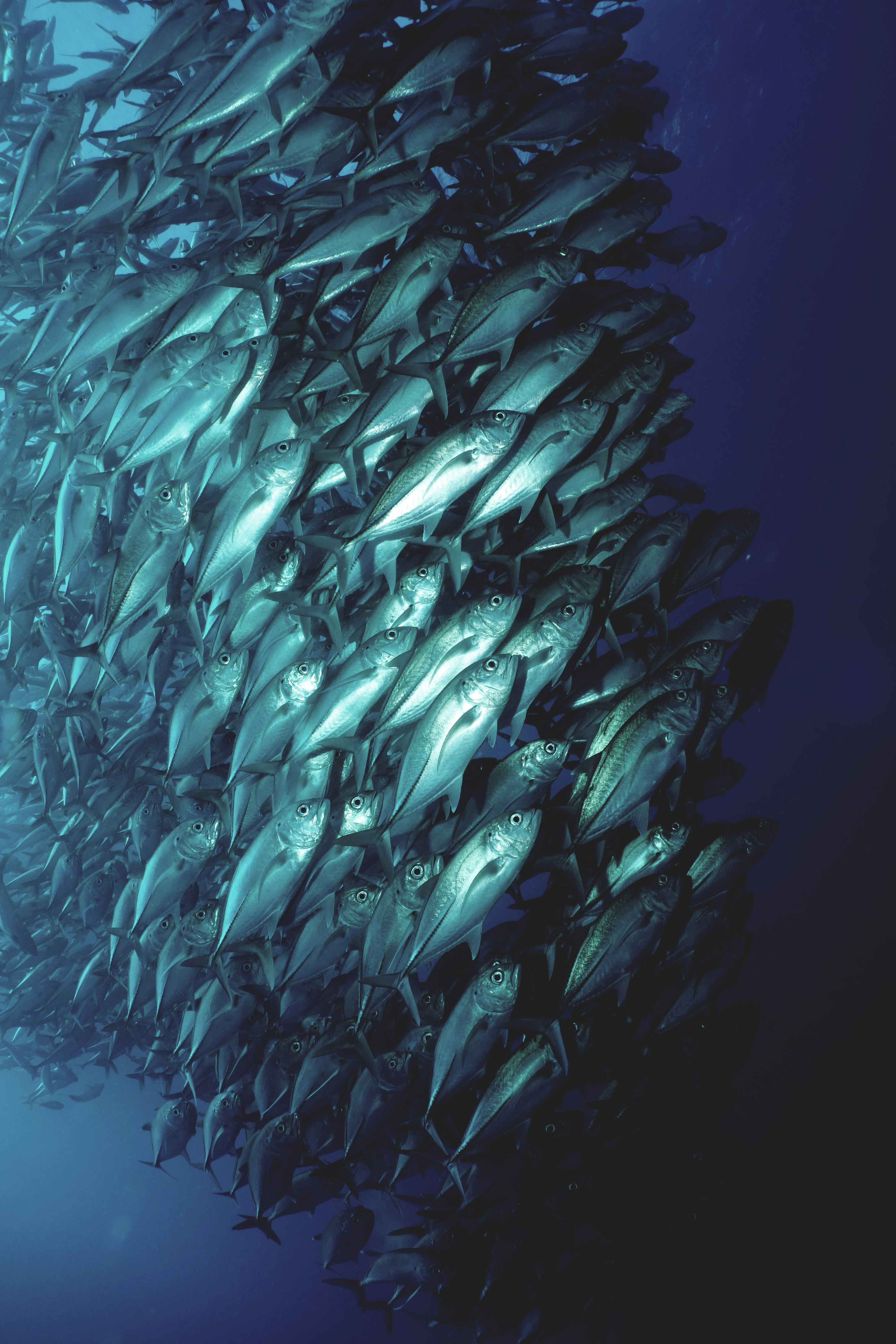 Researchers Uncover Tencent-Linked AI Agent Fleet Scraping Map Data
